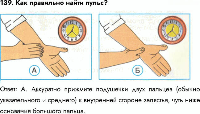 Иллюстрация к решению «Задание 134 ГДЗ Тесты Плешаков 3 класс (Окружающий мир)», 2