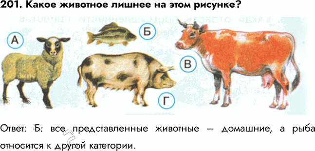 Иллюстрация к решению «Задание 201 ГДЗ Тесты Плешаков 3 класс (Окружающий мир)», 1